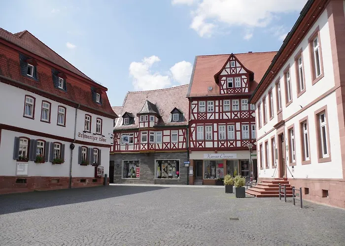 Szálloda Frida Cantina Y Bar I Babenhausen